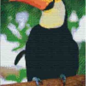 808094